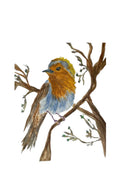 Ruben the Robin